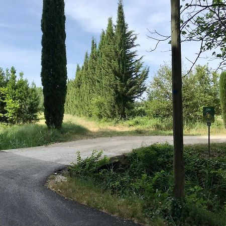 Le Jardin D'Erables St Remy 7 Ha Piscine/Clim Villa Paluds de Noves Eksteriør bilde