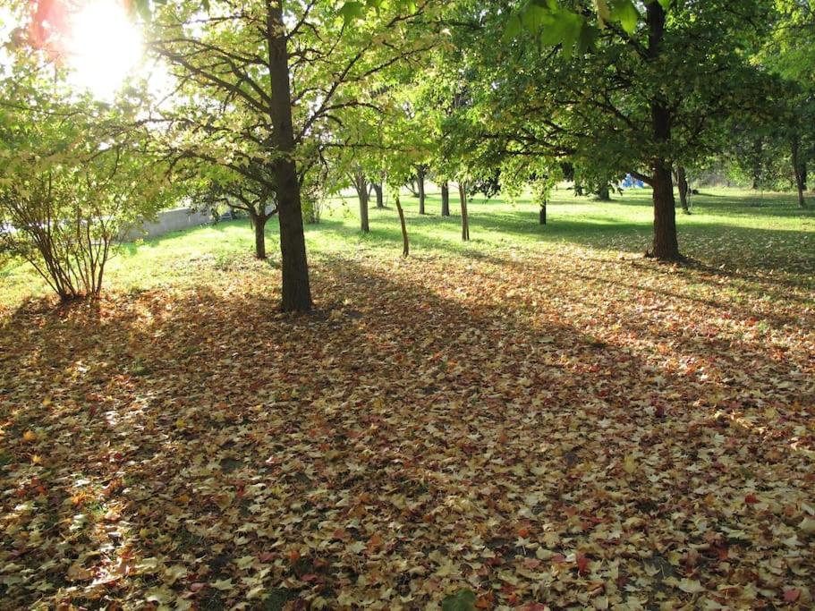 Le Jardin D'Erables St Remy 7 Ha Piscine/Clim Villa Paluds de Noves Eksteriør bilde