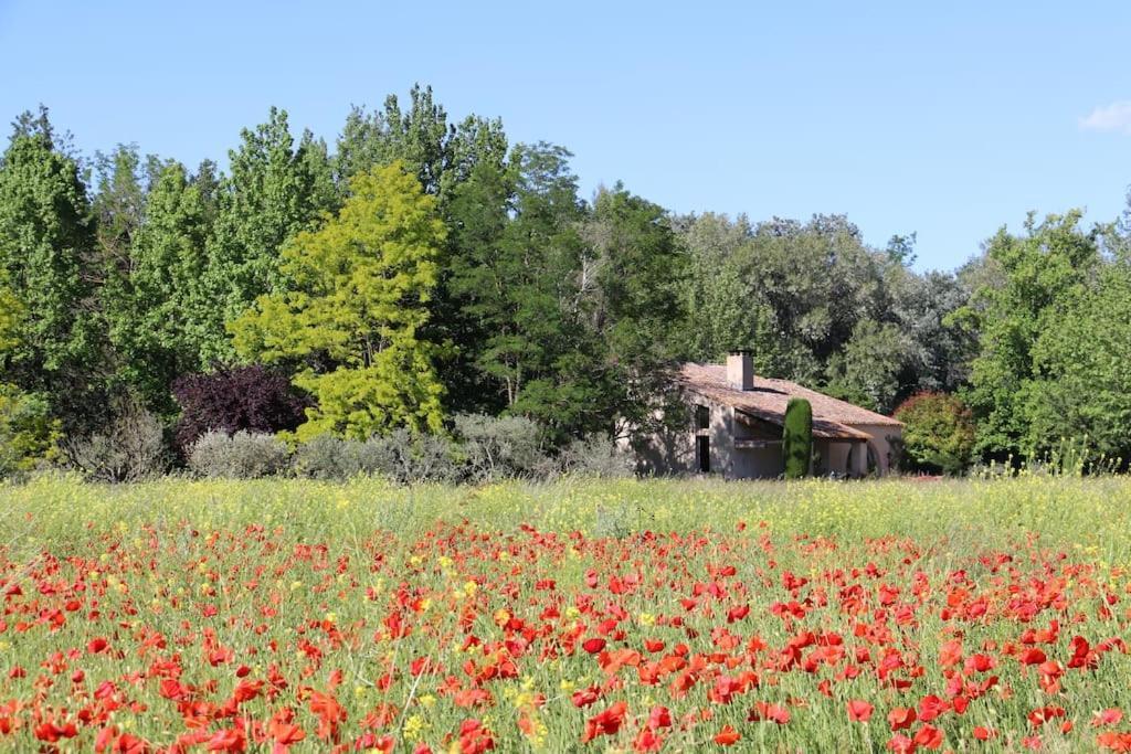 Le Jardin D'Erables St Remy 7 Ha Piscine/Clim Villa Paluds de Noves Eksteriør bilde