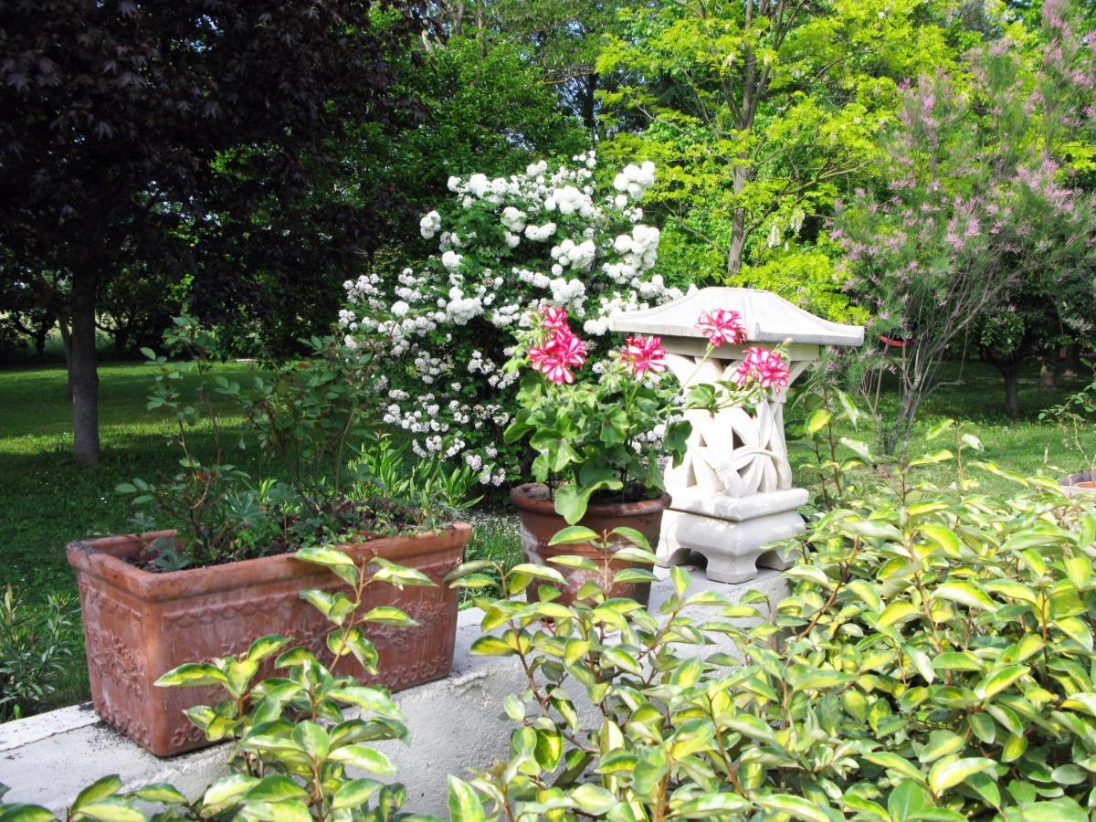 Le Jardin D'Erables St Remy 7 Ha Piscine/Clim Villa Paluds de Noves Eksteriør bilde